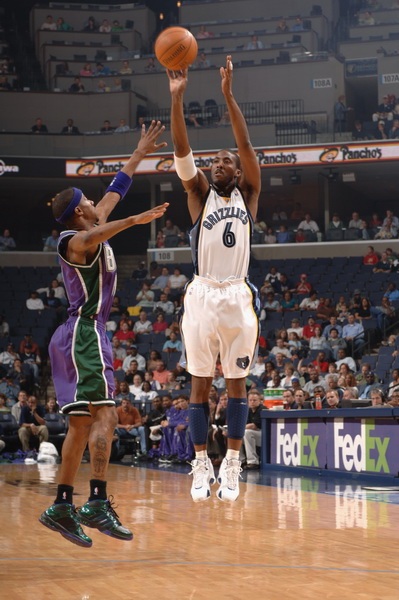 的严格要求 的严格要求