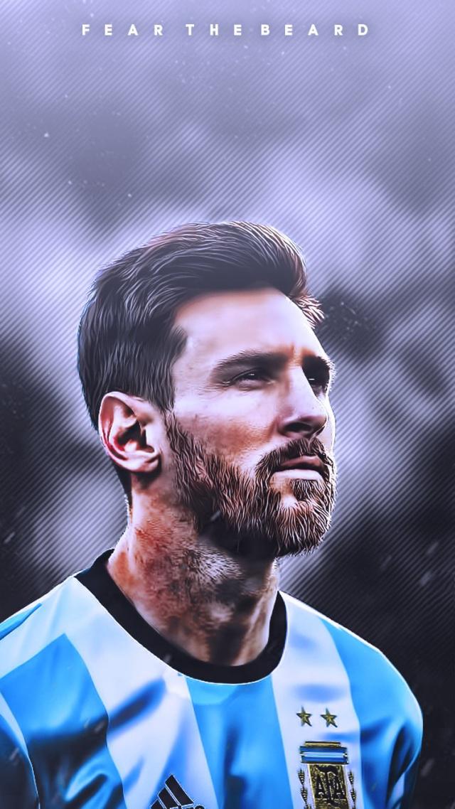 不仅展现了 不仅展现了