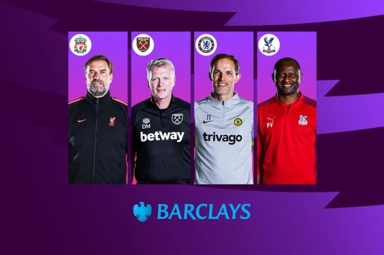 送入网窝 送入网窝