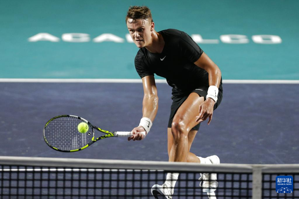 卫球员的篮 卫球员的篮