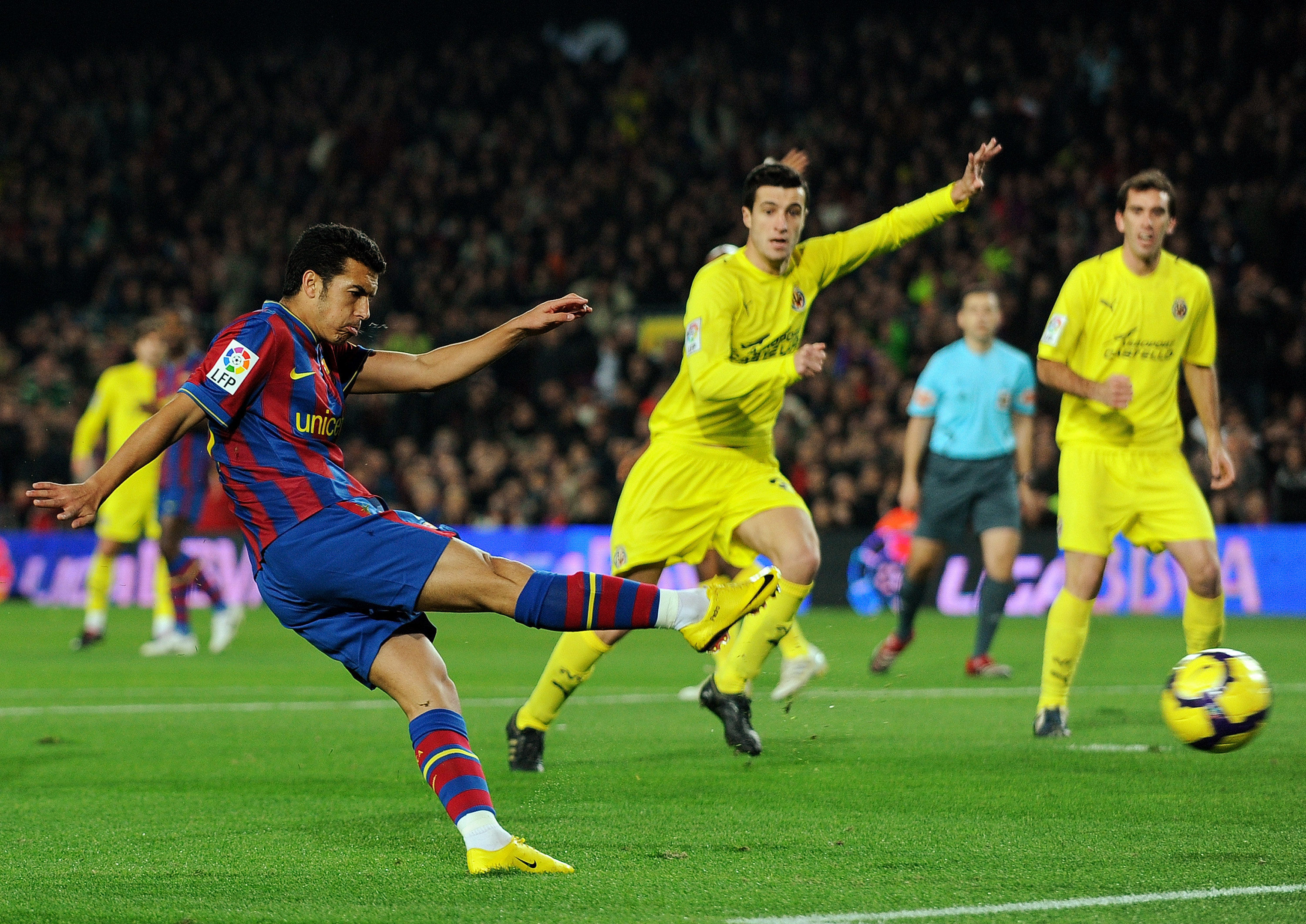 作为巴西青 作为巴西青