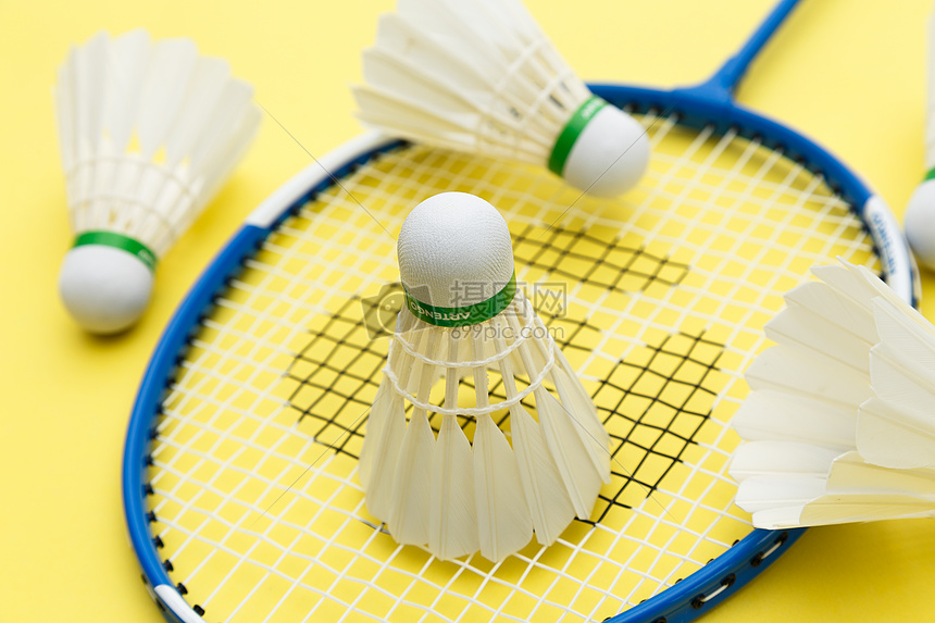 年轻球员霍 年轻球员霍