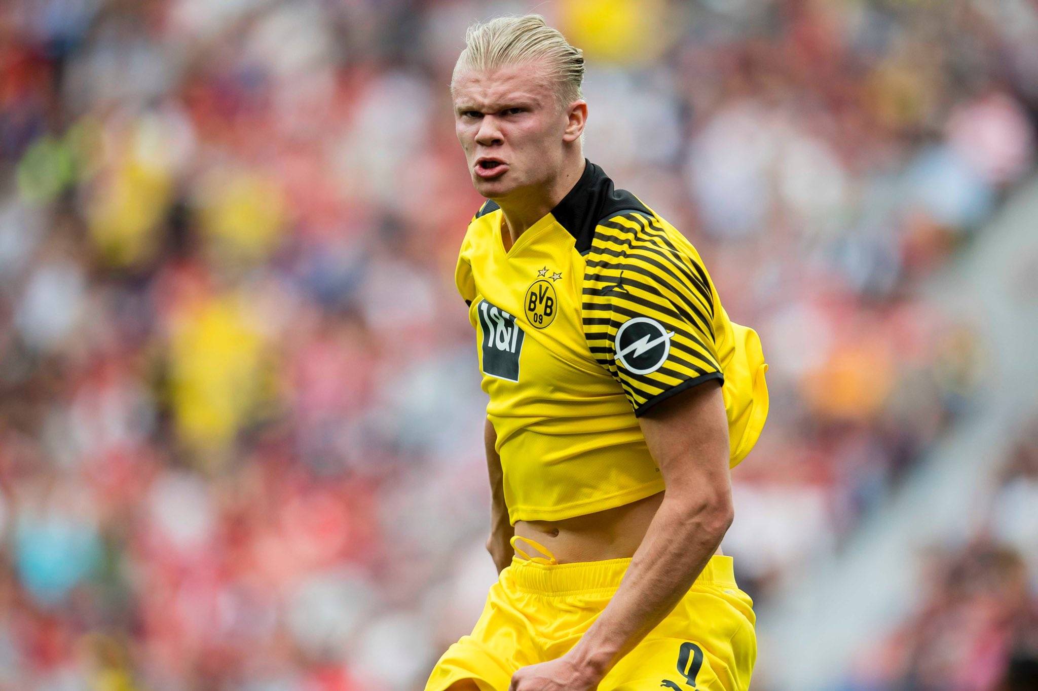 与执行力的 与执行力的