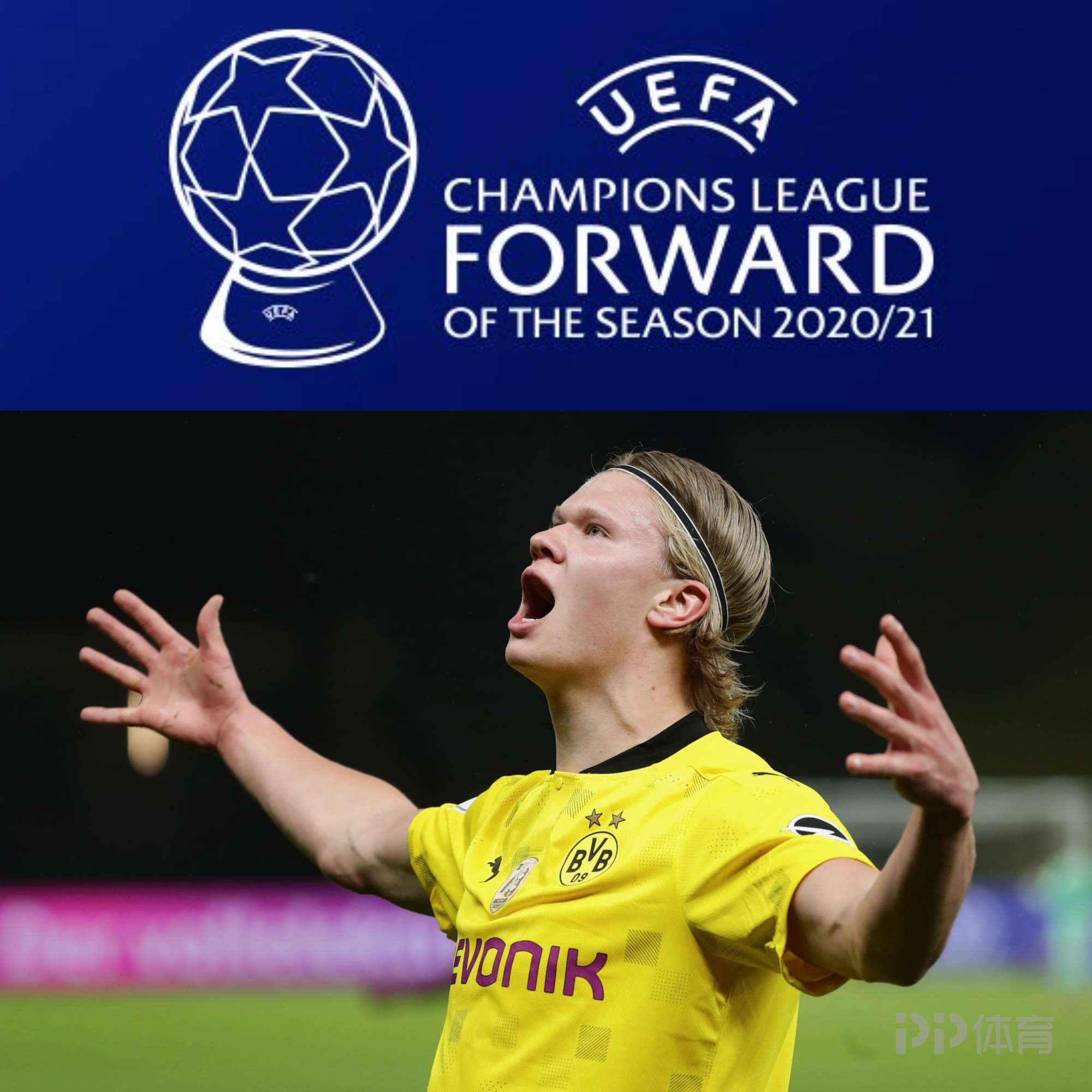 案例分析 案例分析