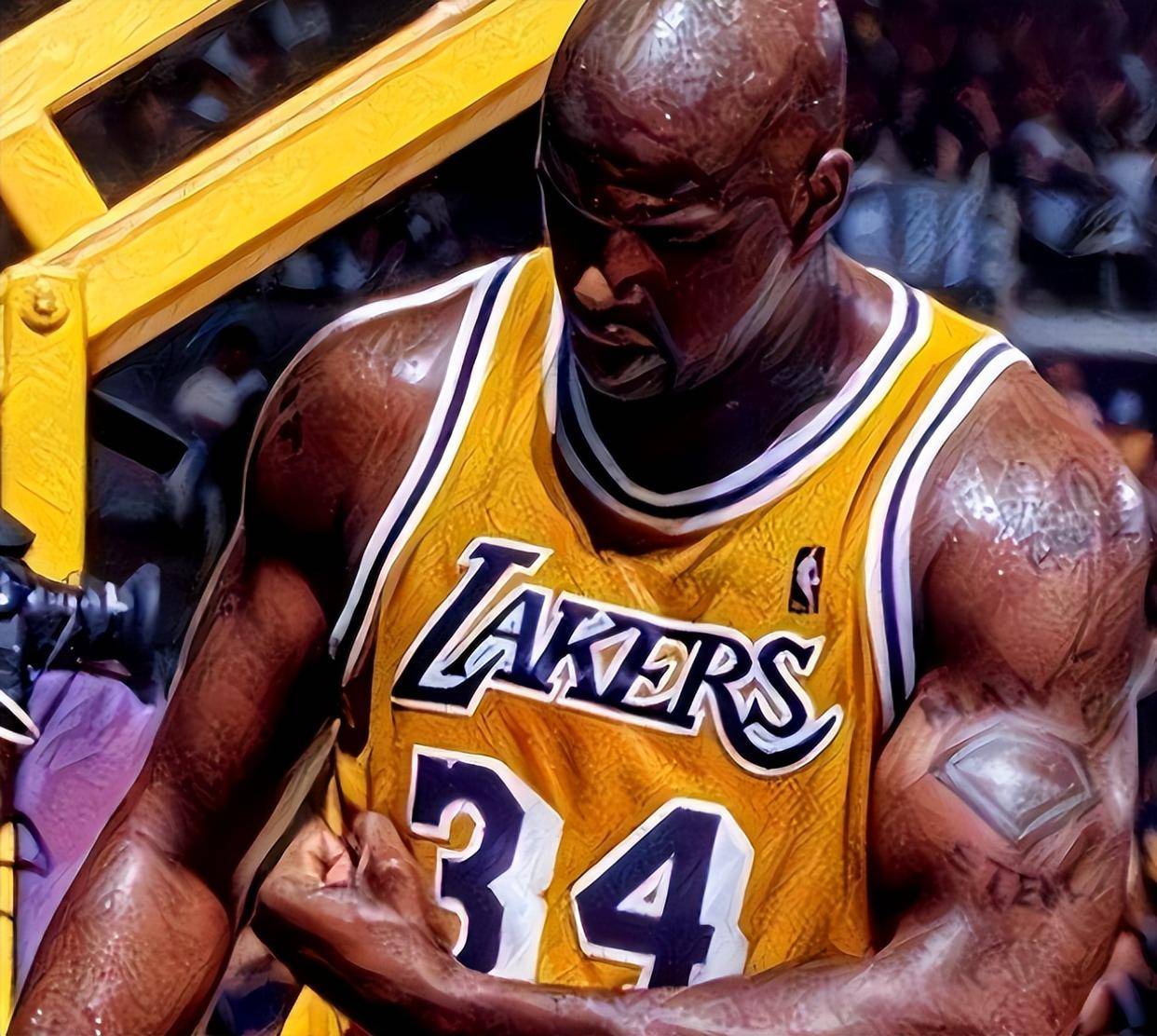 的体系完整 的体系完整